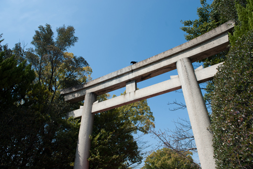 ウェディングフォト・アワード2018受賞作品